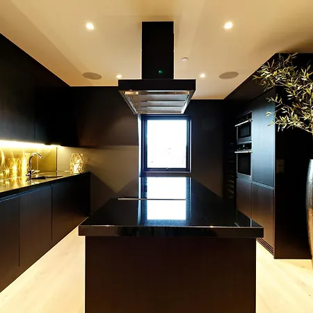 萨迦奥斯陆公寓 *